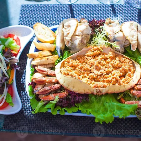 Design 1 By Homing * 파로