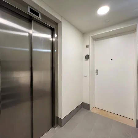 Design 1 By Homing * ファロ