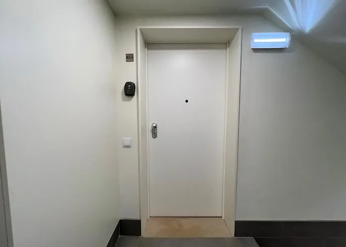 Design 1 By Homing *